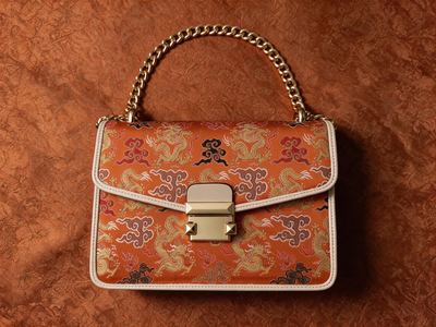 Dragon-Cloud Brocade, Auspicious Splendor (22 × 17 cm)